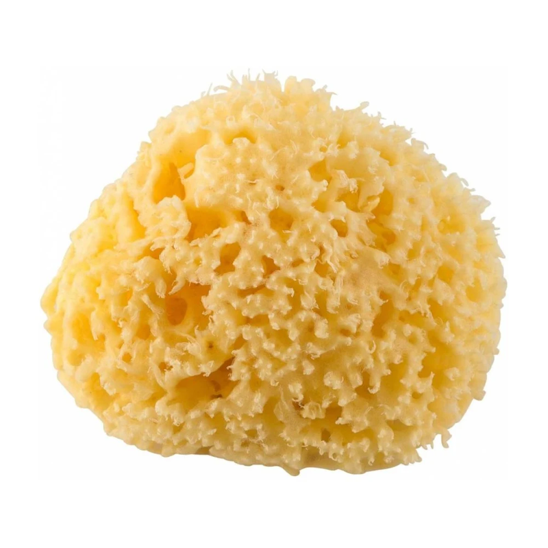Rotho mediterranean sponge, , medium-null