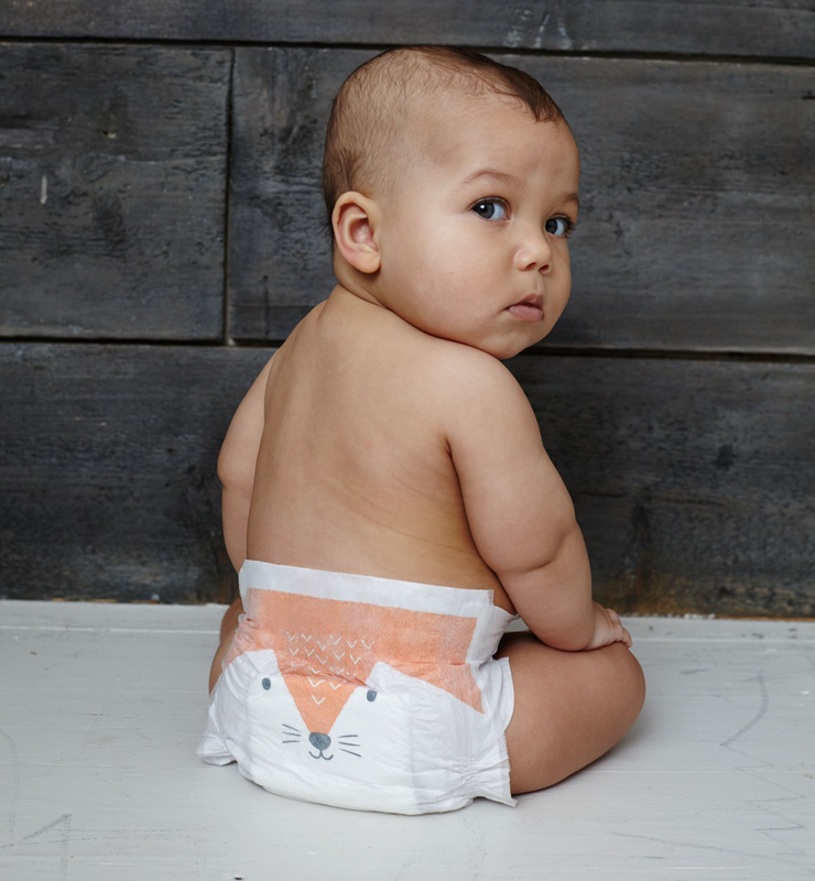 Eco nappies-null