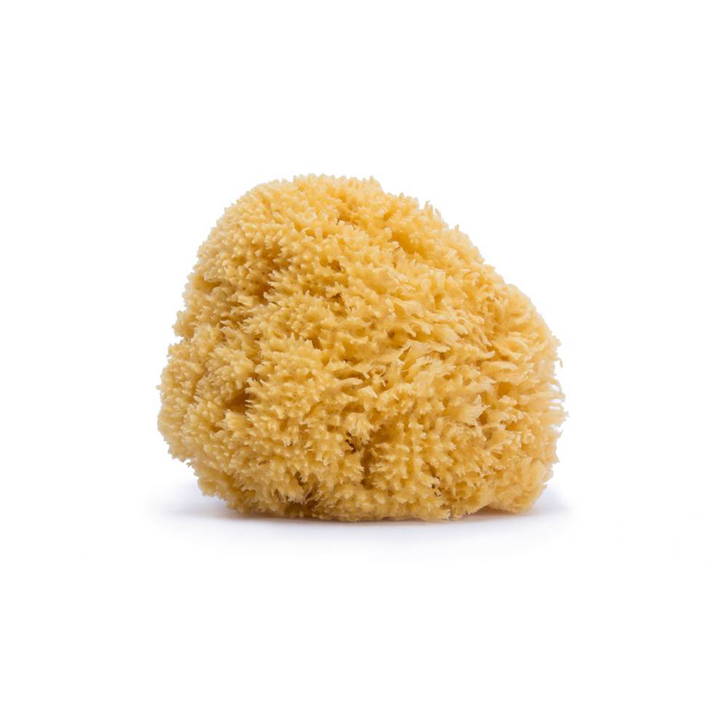 Suavinex sponge natural large, , medium-null
