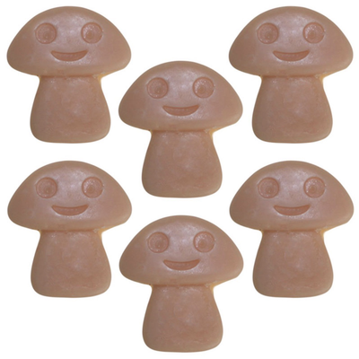 Soy wax melt coffee trader
