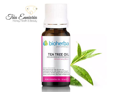 Tea tree, pure essential oil, 10 ml, bioherba