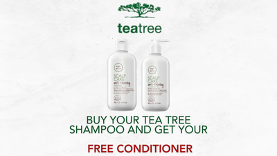 Tea tree by paul mitchell scalp care set special offer