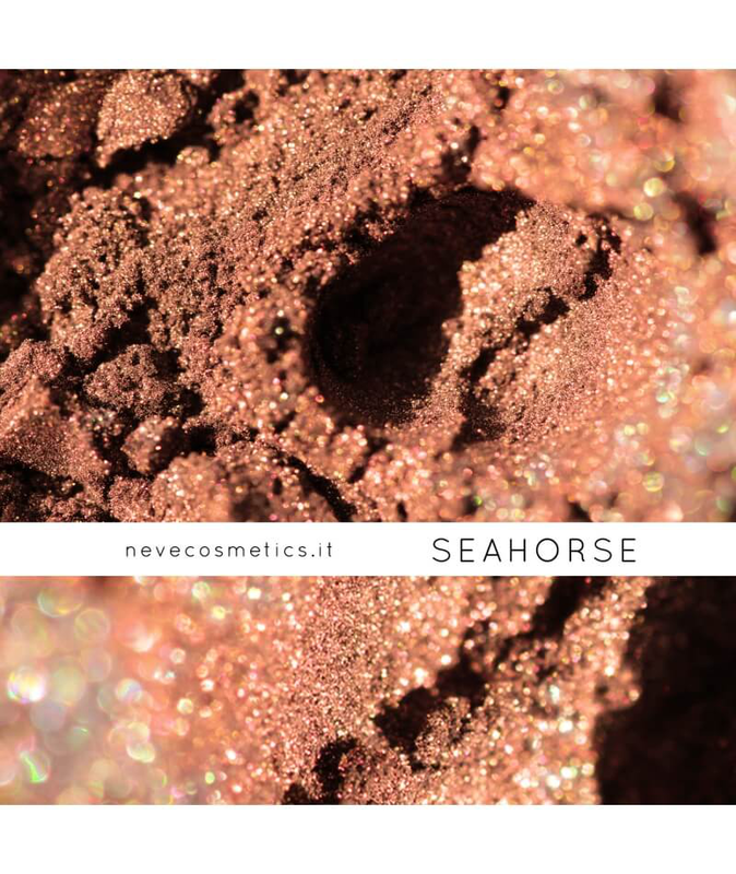 Eyeshadow seahorse-null