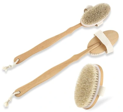 Aw pumice long handle body brush, , medium