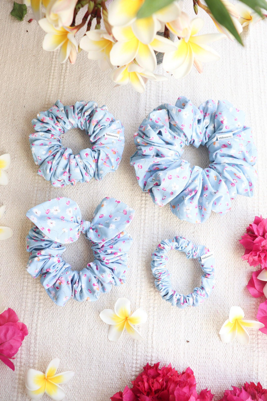 Product image: Xenia mini, , medium-null