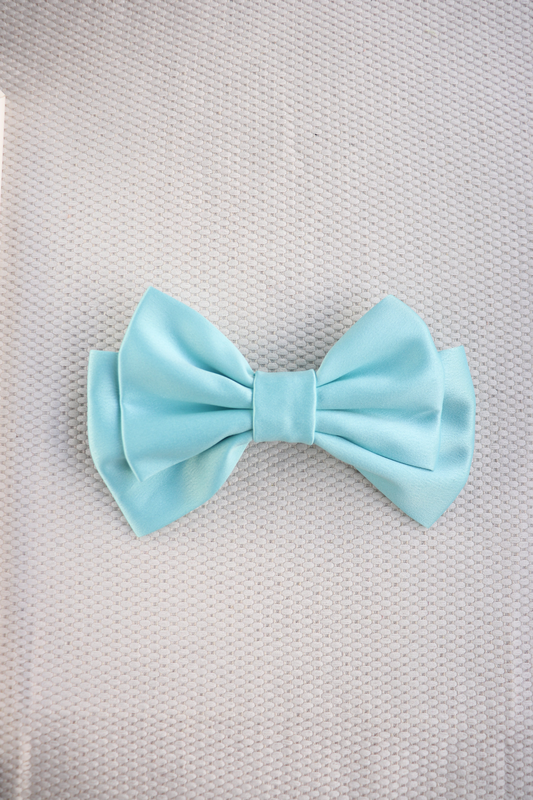 Liora medium hair bow clip, , medium-null