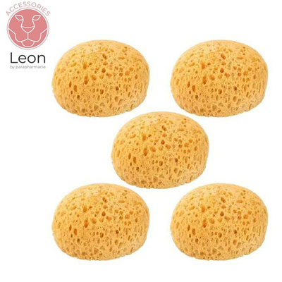 Leon &phi;&upsilon;&sigma;&iota;&kappa;ό &sigma;&phi;&omicron;&upsilon;&gamma;&gamma;ά&rho;&iota; &mu;&pi;ά&nu;&iota;&omicron;&upsilon; 1 &tau;&mu;&chi;, , medium