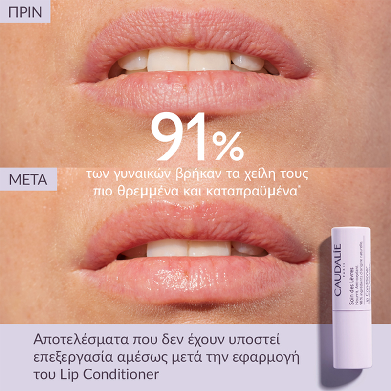 Caudalie vinotherapist  lip conditioner 4.5 gr-null