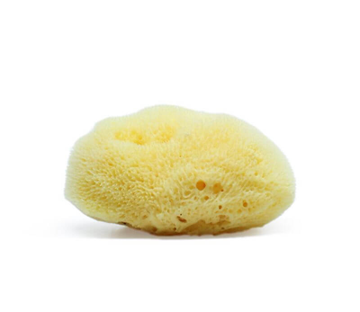 Sponge for eye fine 1.5-2, , medium