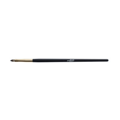 A508--06 brush