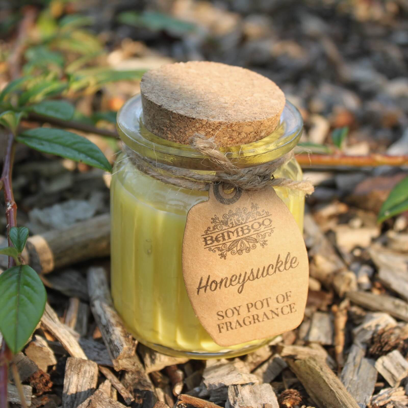 Fragrance candle - honeysuckle soy pot, , medium image number null