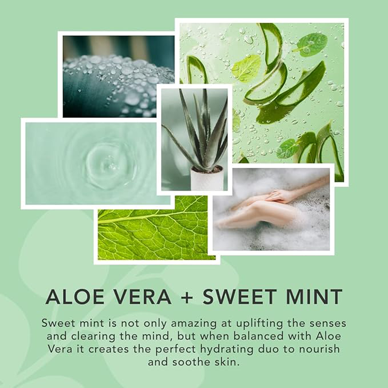 Sunday rain aloe & sweet mint body scrub x 265g image number null