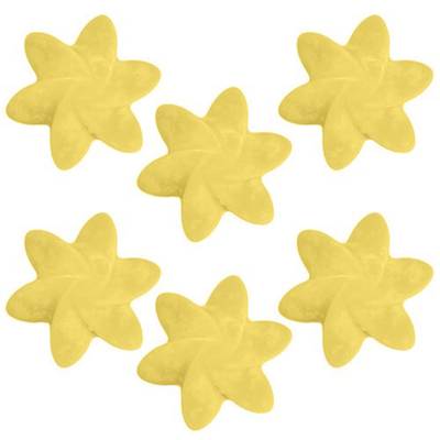 Soy wax melt mango fruits