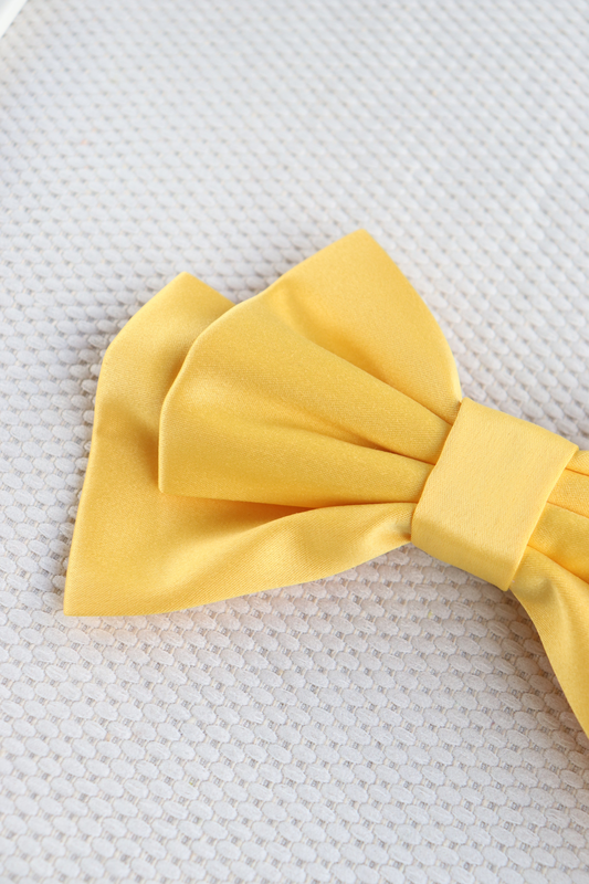 Tressa medium hair bow clip, , medium-null