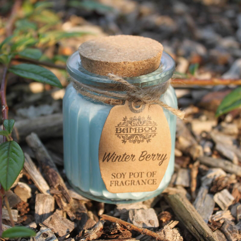 Fragrance candle - winter berry soy pot, , medium-null