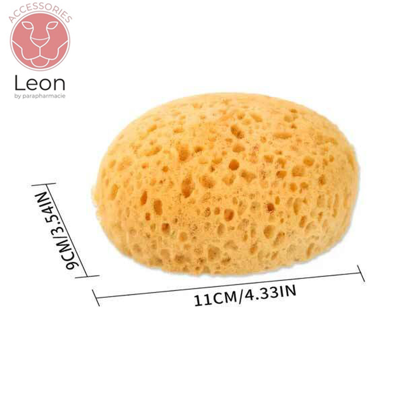 Leon &phi;&upsilon;&sigma;&iota;&kappa;ό &sigma;&phi;&omicron;&upsilon;&gamma;&gamma;ά&rho;&iota; &mu;&pi;ά&nu;&iota;&omicron;&upsilon; 1 &tau;&mu;&chi;, , medium-null