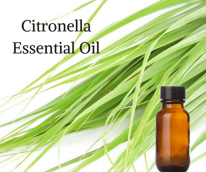 Citronella essential oil, , medium-null
