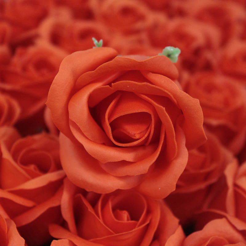 Product image: Soap flower med rose - sunset orange, , medium-null