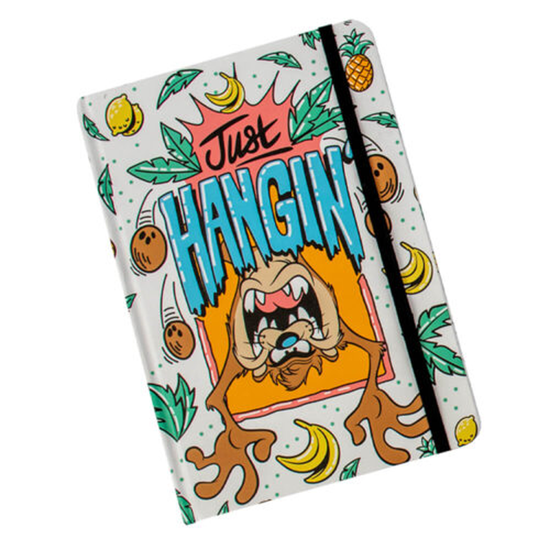 Looney tunes taz a5 notebook, , medium-null
