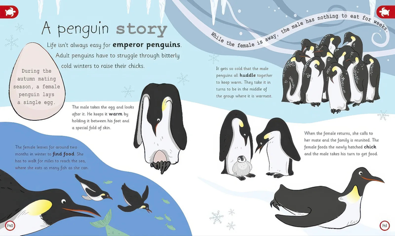 Product image: My encyclopedia of very important animals, , medium-null