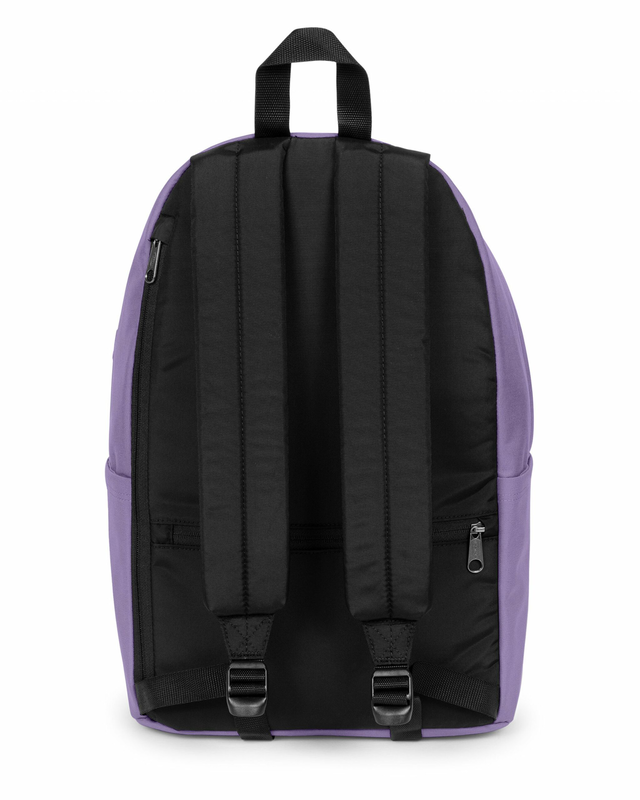 Day pak'r pro dahlia purple-null