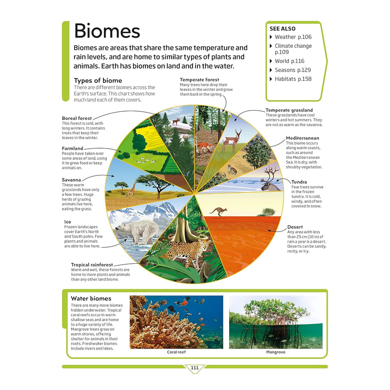 Product image: Dk children's encyclopedia the book that explains everything, , medium-null
