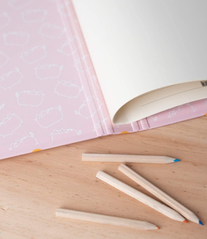 Pusheen elasticated filing folder, rose collection-null