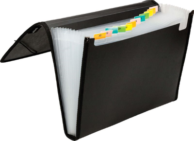Expanding file a4 0.80mm with elastic bands 13 sect. Assorted pp
