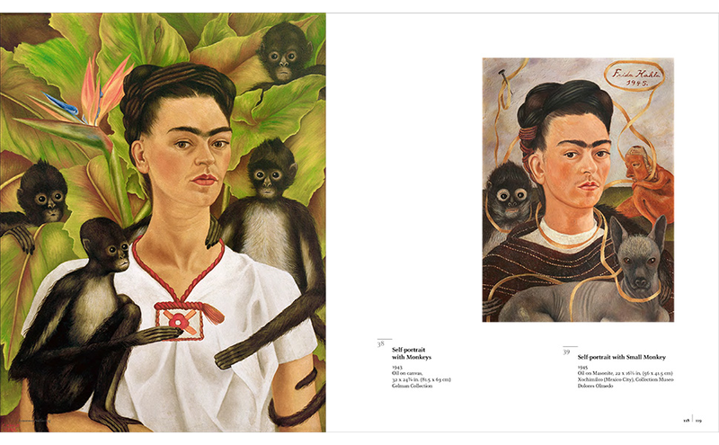 Frida kahlo: the masterworks, , medium image number null