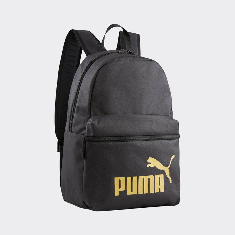 Phase backpack image number null