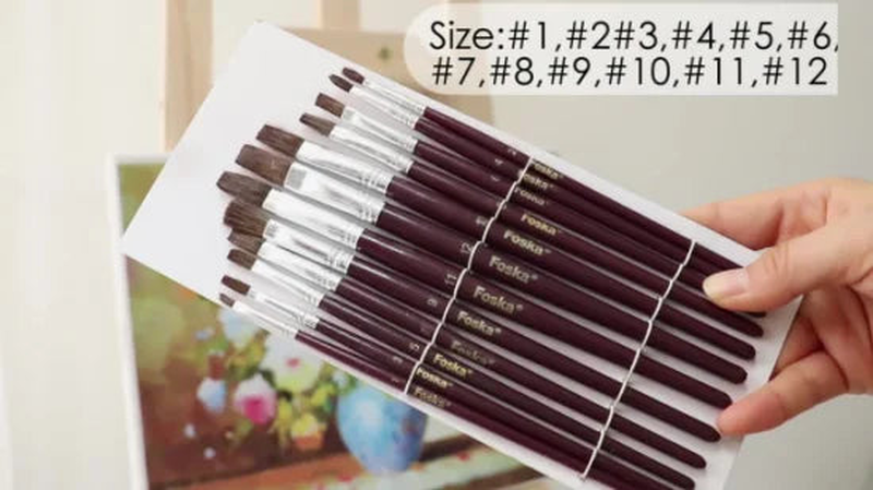 Wooden brush set x12 brushes set foska, , medium-null