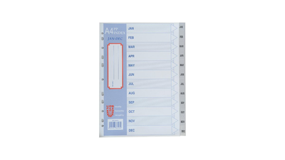 Lion a4 plastic divider jan-dec