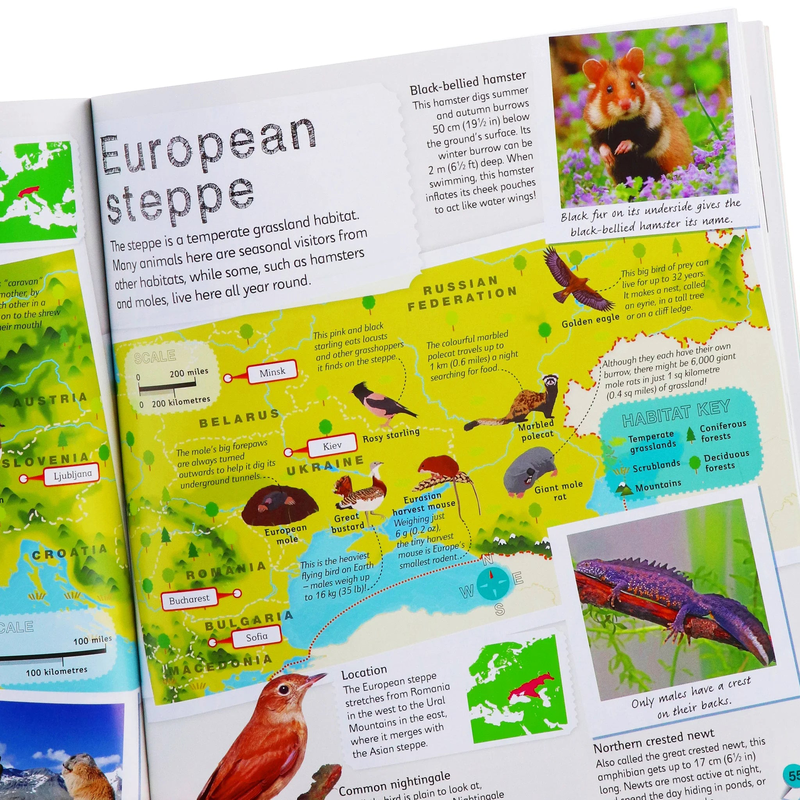 Product image: Children's illustrated animal atlas ages 7-9, , medium-null