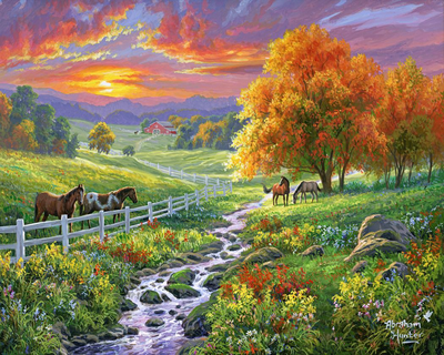 Paint by numbers sunny meadow 40*50 cm without frame