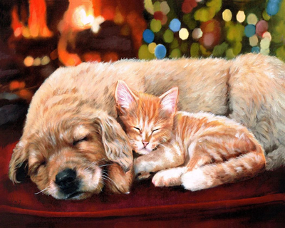 Painting by numbers sleeping companions, , medium