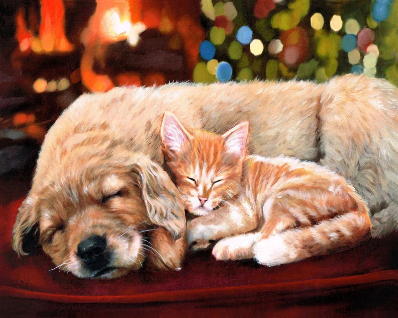 Painting by numbers sleeping companions, , medium-null