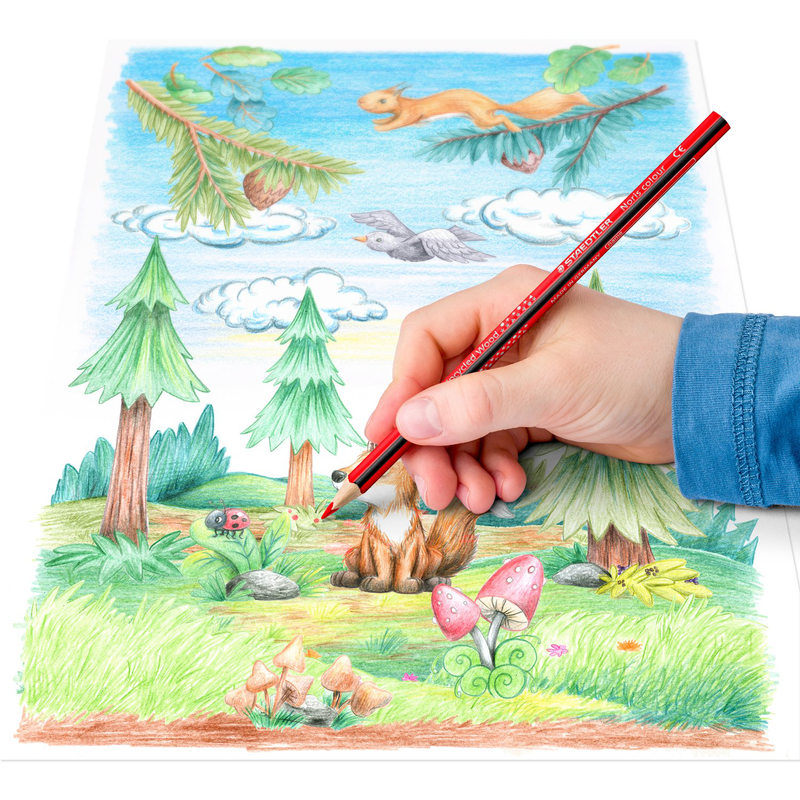 Product image: Staedtler noris triangular coloured pencils 24 pieces, , medium-null
