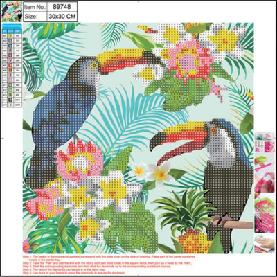 Diamond painting kit toucans 30*30 cm 5d centrum