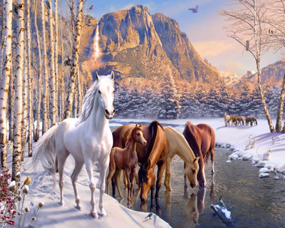 Painting by the numbers horses during winter near the river, , medium