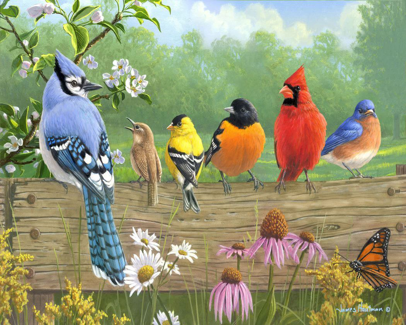 Painting by numbers  birds on a fence  40*50 cm without frame, , medium-null