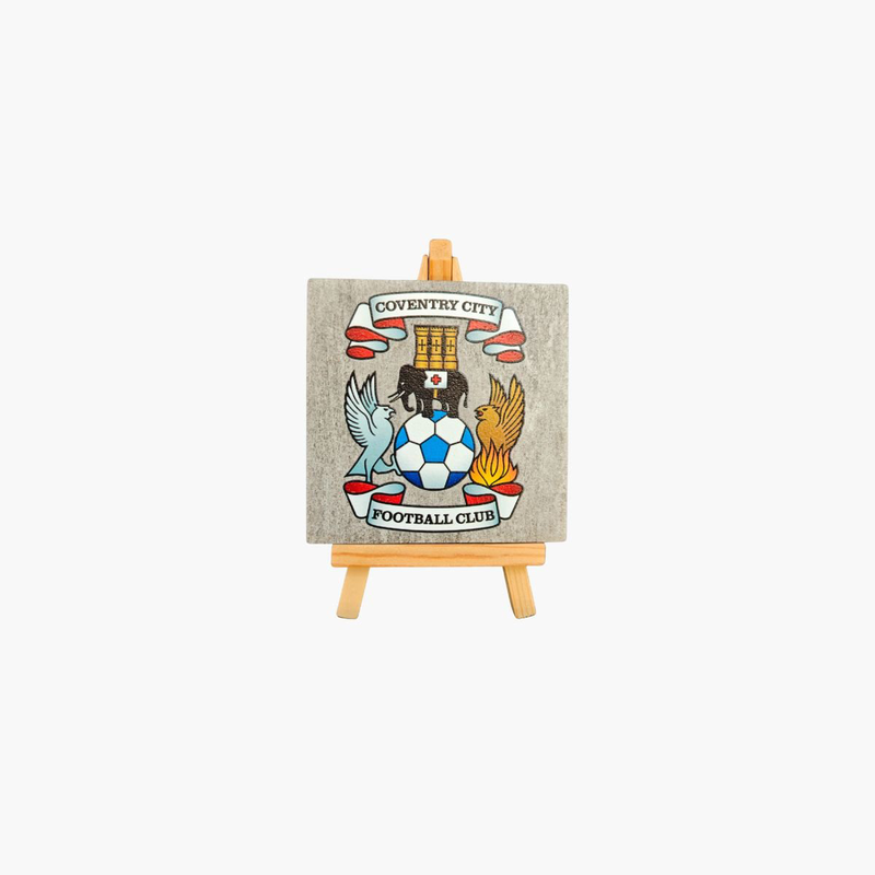 Coventry city fc tile print on stand, , medium-null