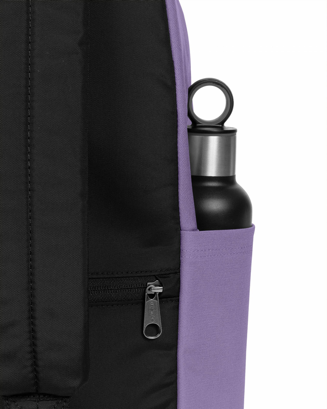 Day pak'r pro dahlia purple-null