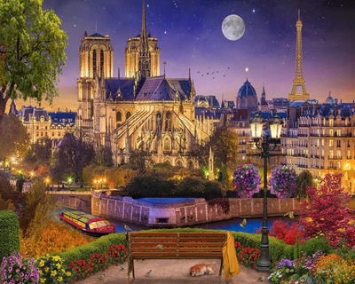 Paint by numbers notre-dame and eiffel tower at night 40*50cm without frame, , medium