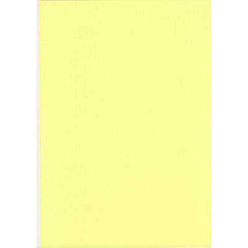 Luxus light yellow pastel paper 1m x 3m (roll), , medium image number null