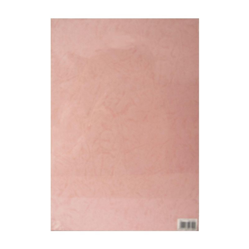 Product image: Paper cover a4 pink 230gsm | protective document covers, , medium-null