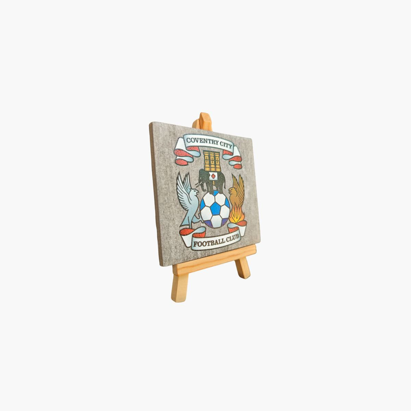 Coventry city fc tile print on stand, , medium-null
