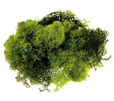 Grass moss 150gr light green, , medium