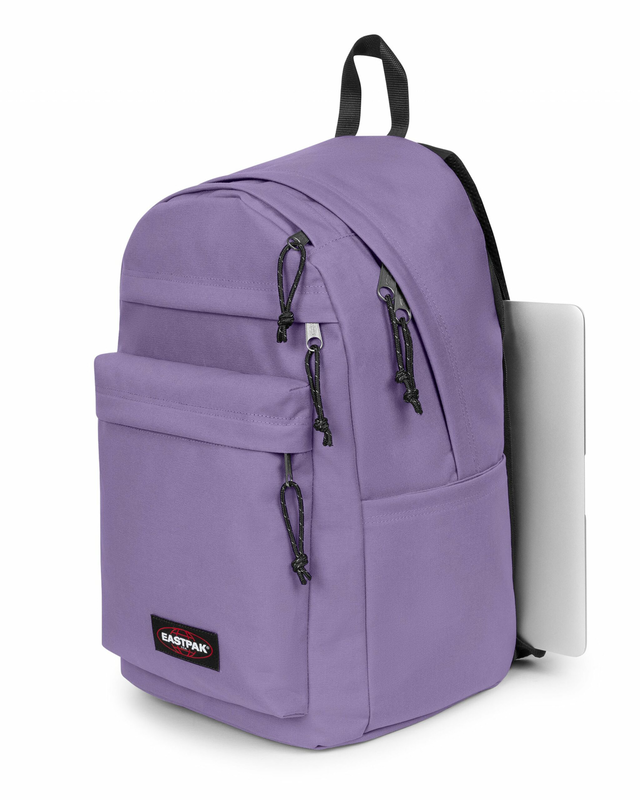 Day pak'r pro dahlia purple-null