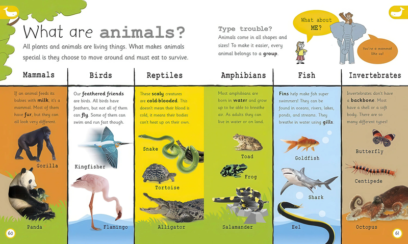 Product image: My encyclopedia of very import things - hardback book, , medium-null