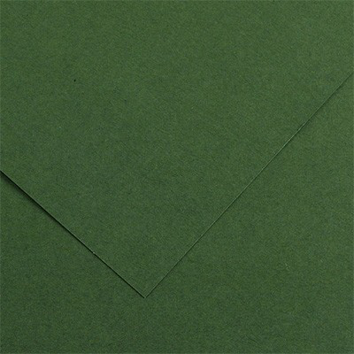 &Chi;&alpha;&rho;&tau;ό&nu;&iota; 50x70cm &pi;&rho;ά&sigma;&iota;&nu;&omicron; &sigma;&kappa;&omicron;ύ&rho;&omicron; (moss) 30, , medium